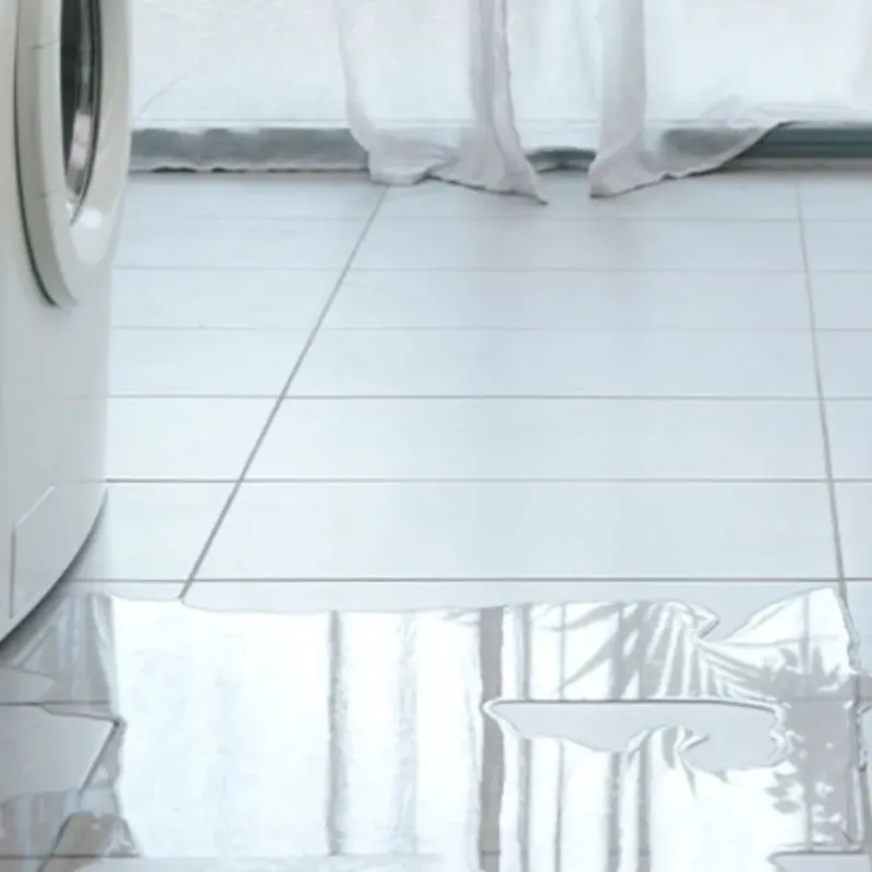 Appliance Leak Cleanup in North Fort Myers, FL